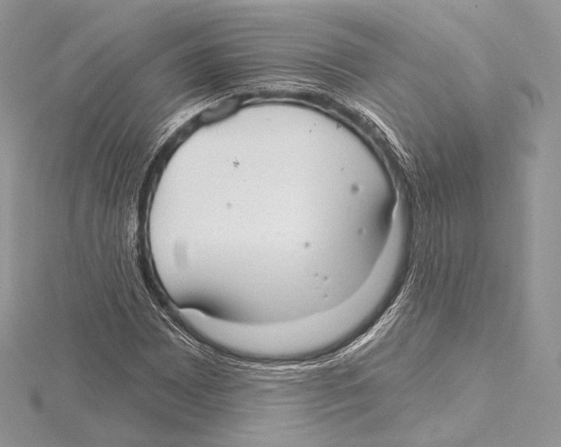 X0000115651065200912081120