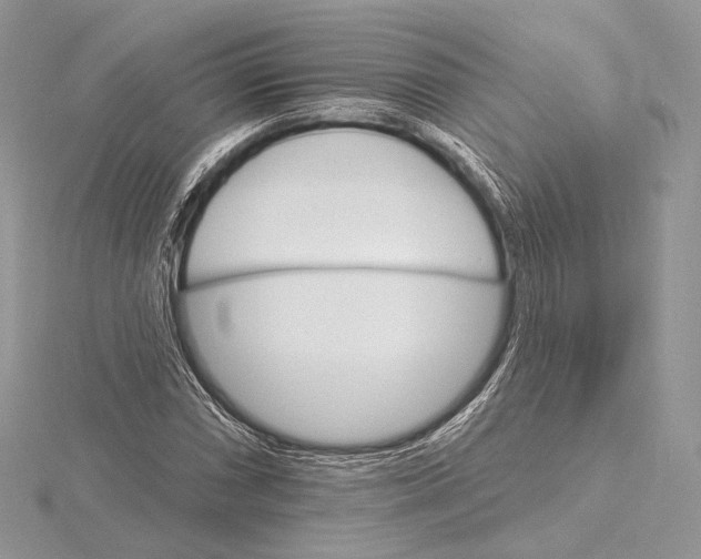 X0000115651066200912081120