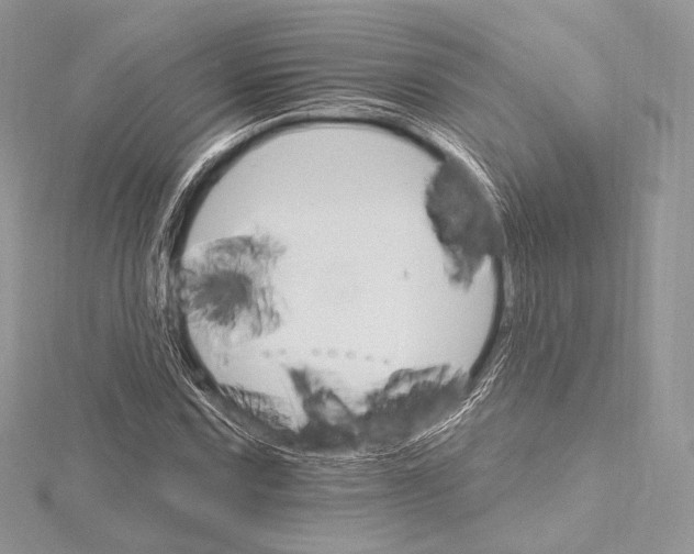 X0000115651067200912081120