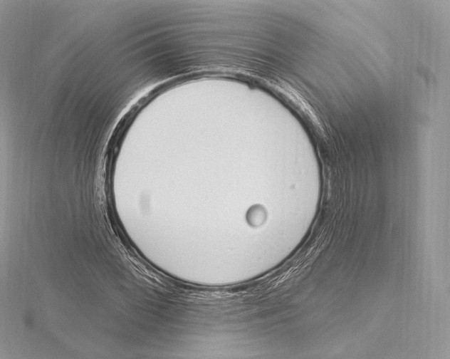 X0000115651068200912081120