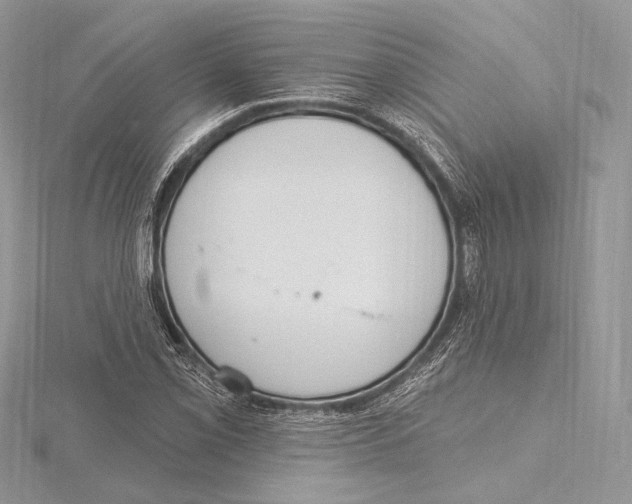 X0000115651069200912081120