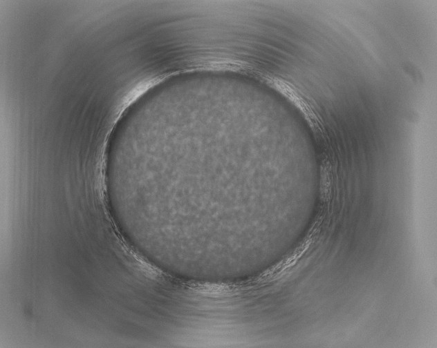 X0000115651071200912081120