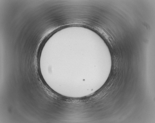 X0000115651072200912081120