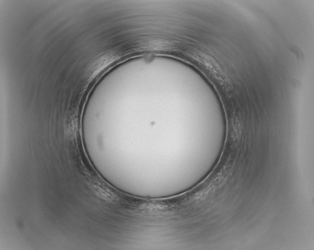 X0000115651073200912081120