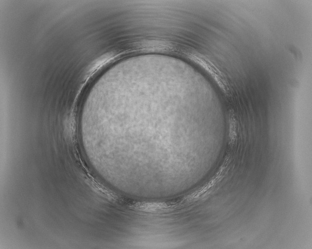 X0000115651074200912081120