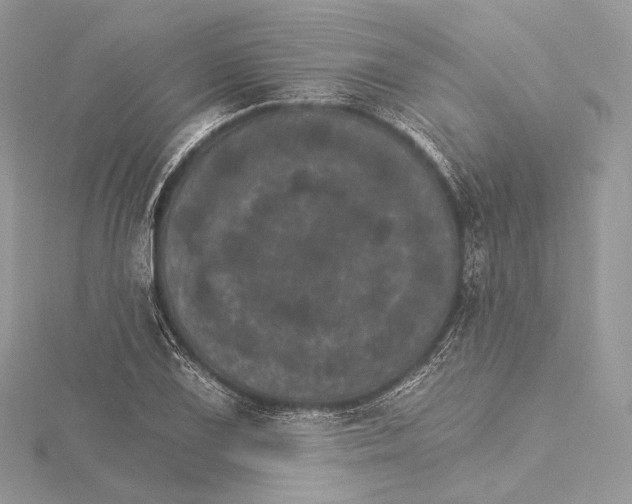 X0000115651075200912081120