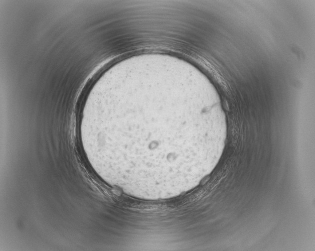 X0000115651076200912081120