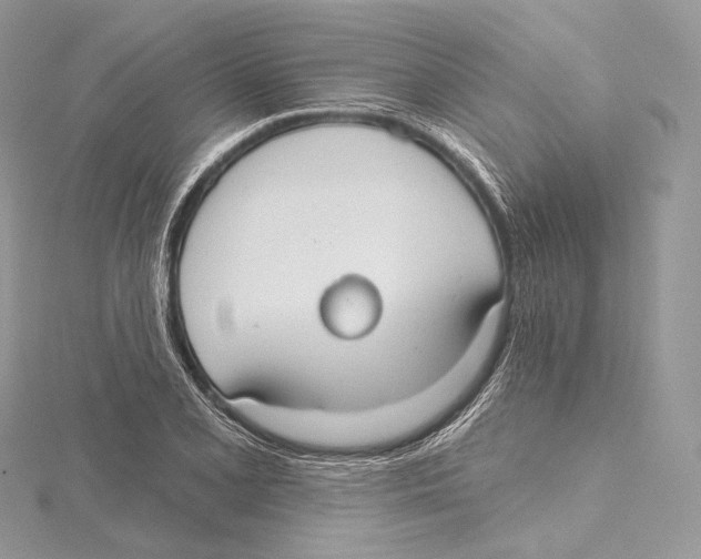 X0000115651077200912081120