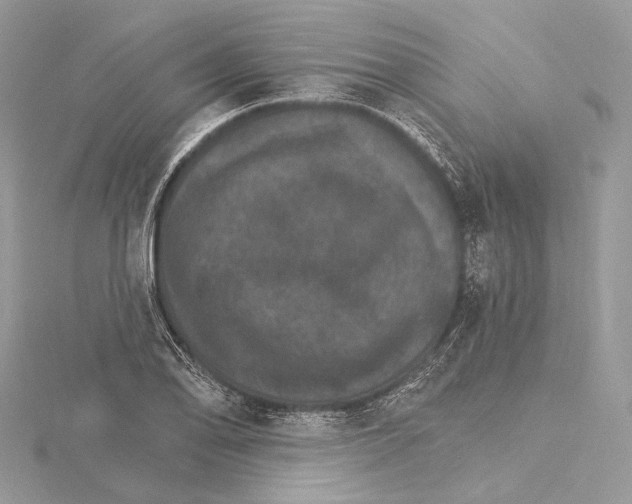 X0000115651078200912081120