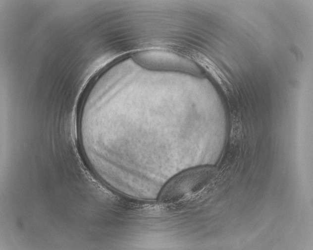 X0000115651080200912081120