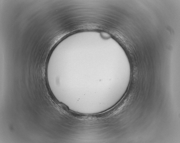 X0000115651081200912081120