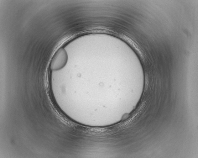 X0000115651082200912081120