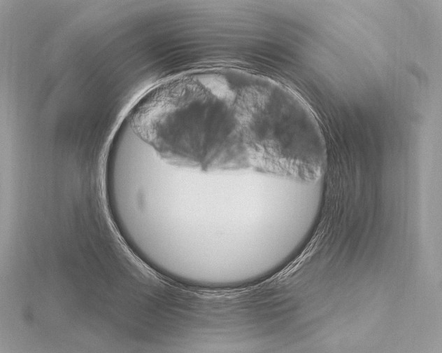 X0000115651083200912081120