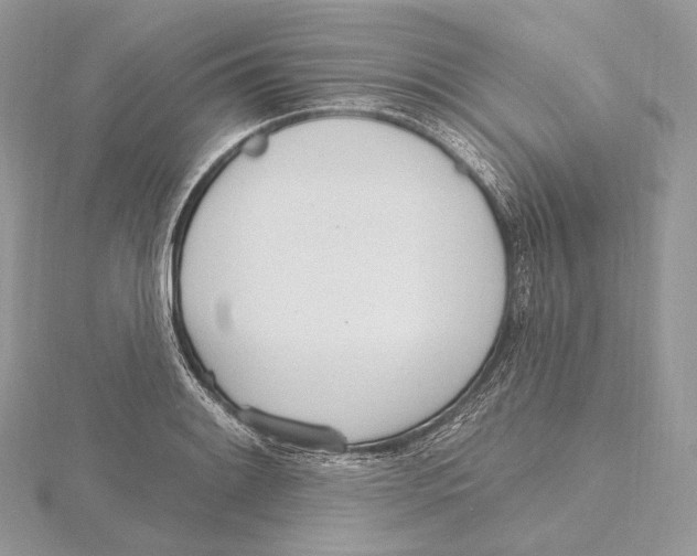 X0000115651084200912081120