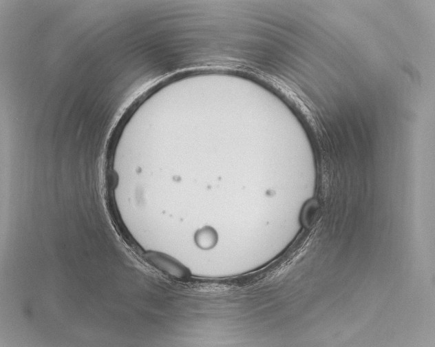 X0000115651085200912081120