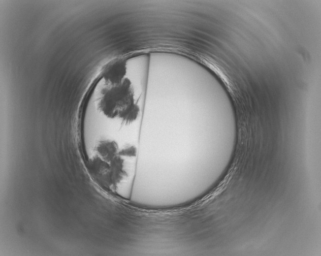 X0000115651087200912081120