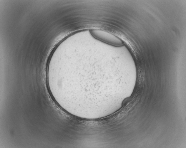 X0000115651088200912081120