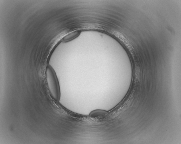 X0000115651089200912081120