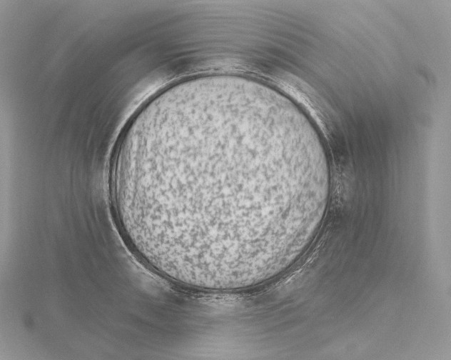 X0000115651090200912081120