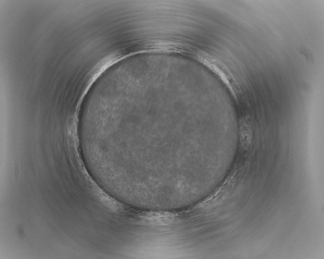 X0000115651091200912081120