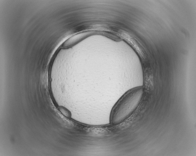 X0000115651092200912081120