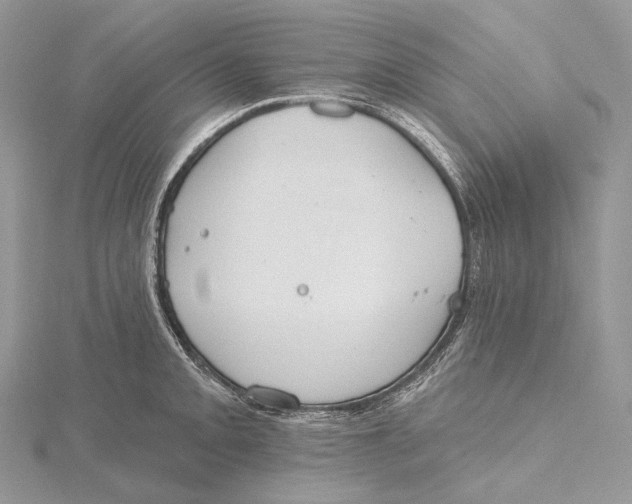 X0000115651093200912081120