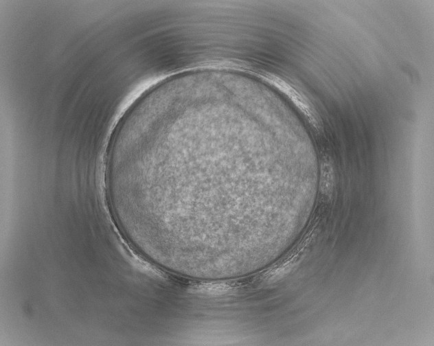 X0000115651094200912081120