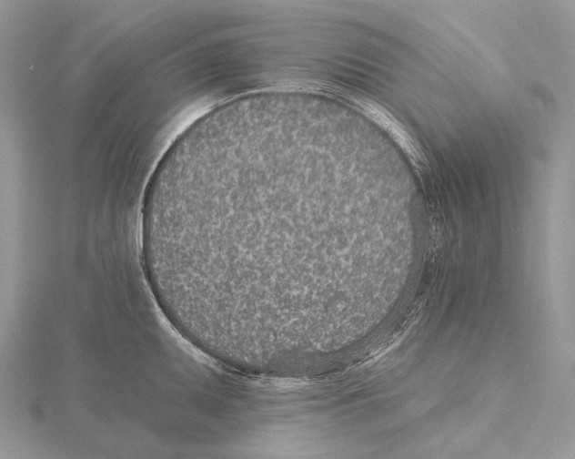 X0000115651095200912081120