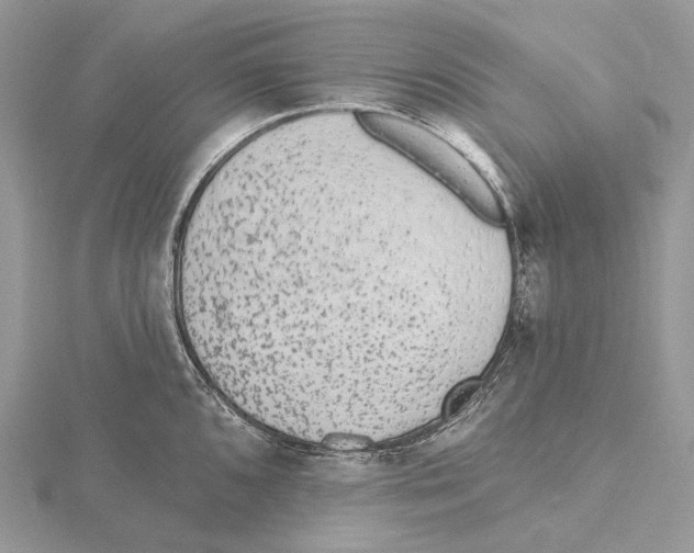 X0000115651096200912081120