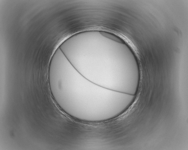 X0000115651097200912081120