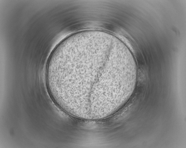 X0000115651098200912081120