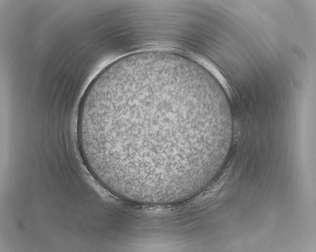 X0000115651099200912081120