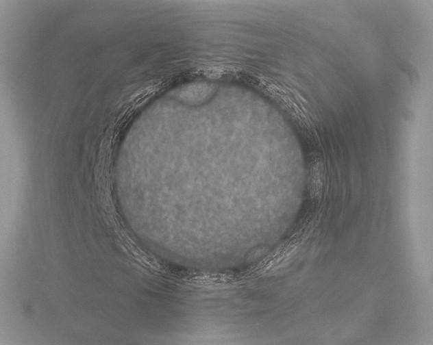 X0000115651105200912081119