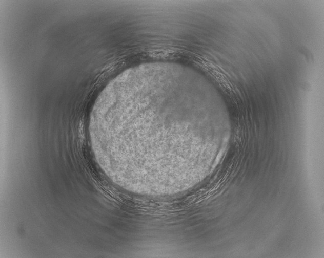 X0000115651106200912081119