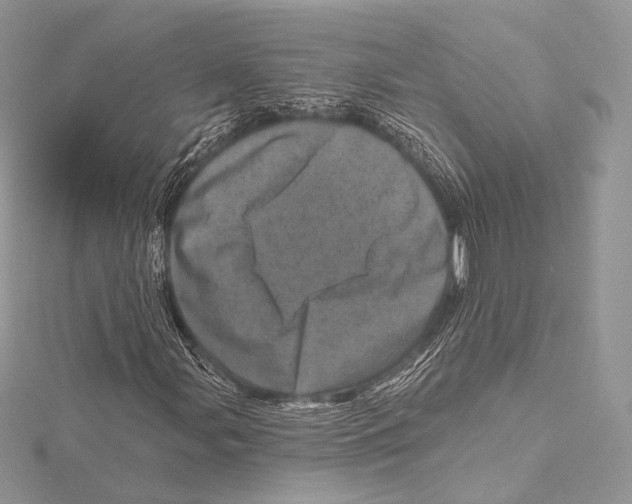 X0000115651107200912081119