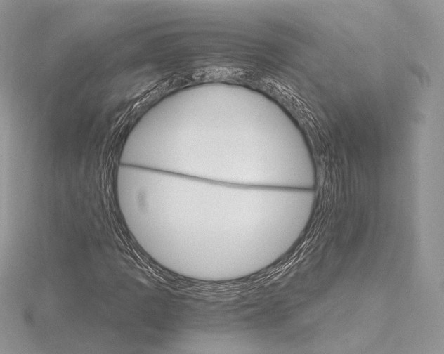 X0000115651109200912081119