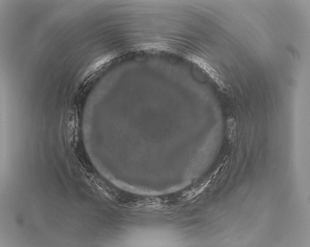 X0000115651111200912081119