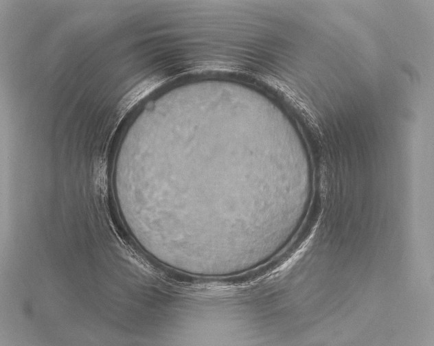 X0000115651113200912081119