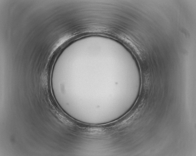 X0000115651114200912081119