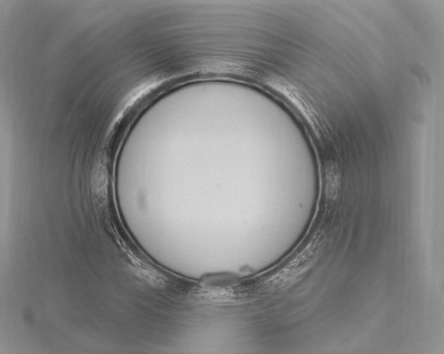 X0000115651115200912081119