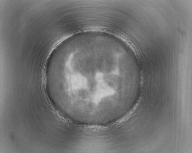 X0000115651117200912081119