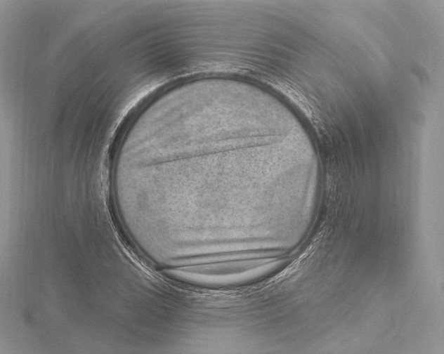 X0000115651119200912081119