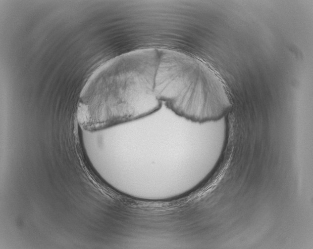 X0000115651121200912081119