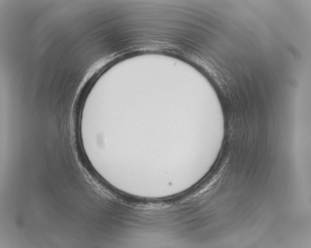 X0000115651122200912081119