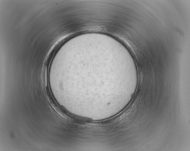 X0000115651123200912081119