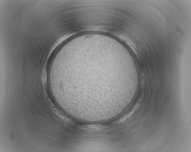 X0000115651125200912081119