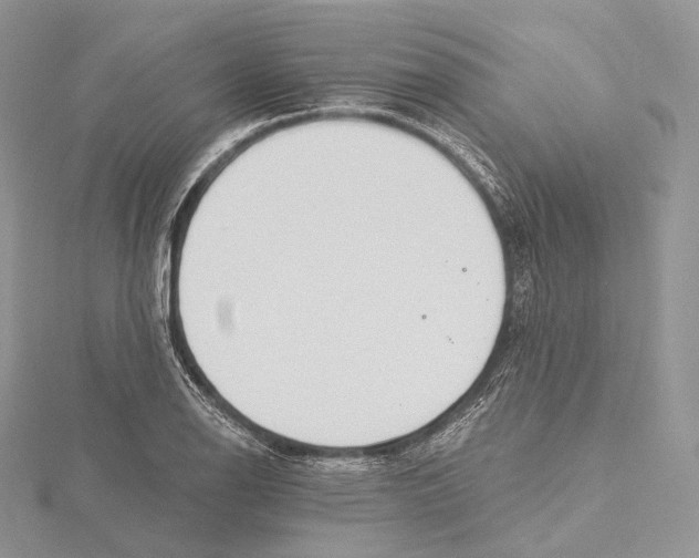 X0000115651126200912081119