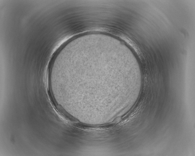 X0000115651127200912081119