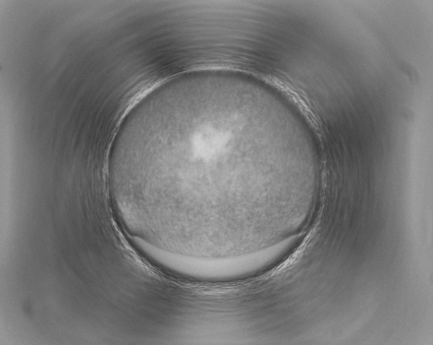 X0000115651129200912081119