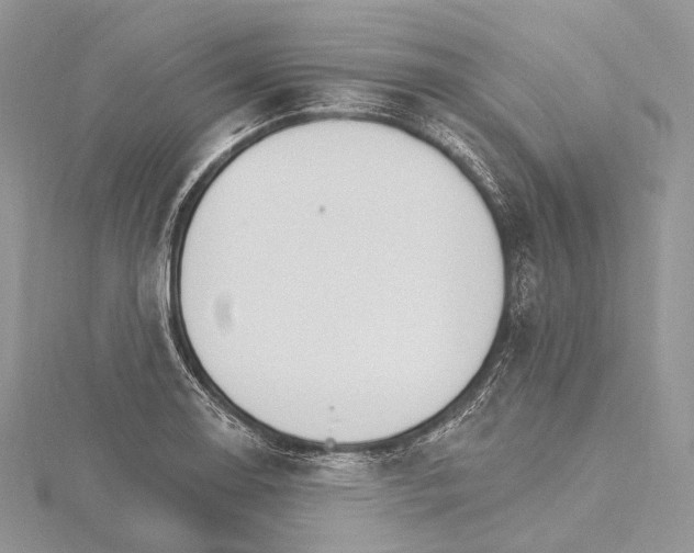 X0000115651130200912081119